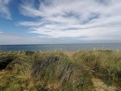 a field of tall grass next to the ocean at Family-friendly Retreat near Beach - By Traum Ferienwohnungen in Lild Strand