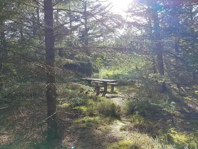 a wooden picnic table in the middle of a forest at Family-friendly Retreat near Beach - By Traum Ferienwohnungen in Lild Strand