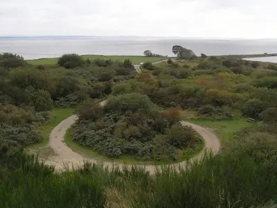 two winding dirt roads in a field with the ocean at Panoramic Sea View Retreat - By Traum Ferienwohnungen in Blokhus