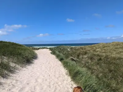 a dog walking down a sandy path to the beach at 5 person holiday home in Thyholm-By Traum in Sindrup