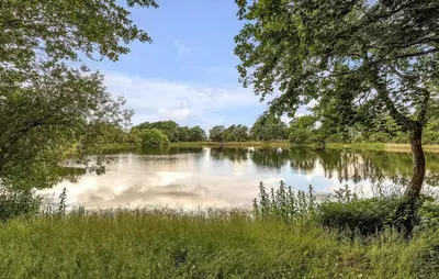 a lake with a tree and grass and water at Lovely Home In Vemb With House Sea View in Vemb