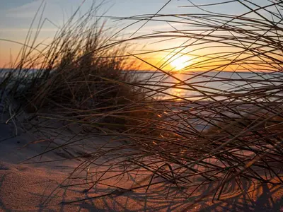 a sunset on the beach with tall grass at 6 person holiday home in Blokhus-By Traum in Blokhus