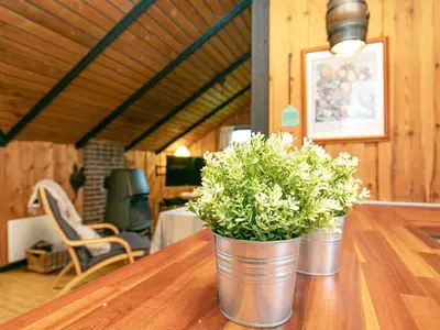 two metal buckets with plants on a wooden table at Seaside Rustic Retreat - By Traum Ferienwohnungen in Flovtrup