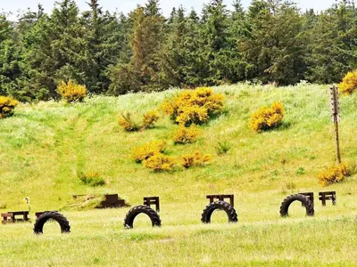 a bunch of tires in the grass in a field at 8 person holiday home in Brovst-By Traum in Brovst