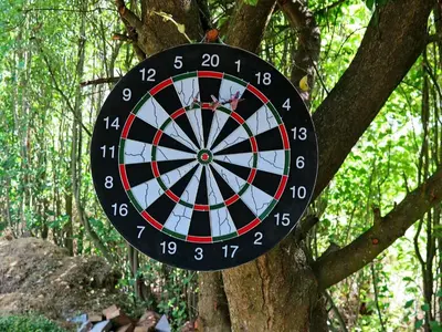 a dart board hanging from a tree at 6 person holiday home in Struer-By Traum in Remmer Strand