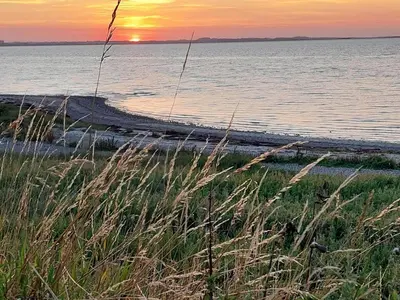 a sunset over a beach with tall grass in the foreground at 10 person holiday home in Løgstør-By Traum in Trend