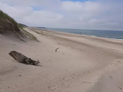 a beach with a log on the sand and the ocean at 10 person holiday home in Løgstør-By Traum in Trend