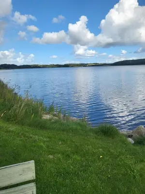 a bench sitting next to a large body of water at Astrup vig Spa og Sauna in Roslev