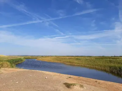 a river in the middle of a field at Secluded Haven in Thorup - By Traum Ferienwohnungen in Torup Strand