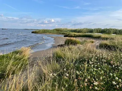 a beach with grass and flowers next to the water at 8 person holiday home in Ulfborg-By Traum in Thorsminde