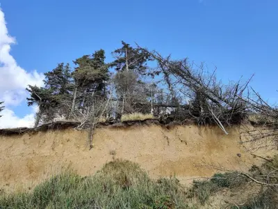 a dirt hill with trees on top of it at 6 person holiday home in Spøttrup-By Traum in Knud