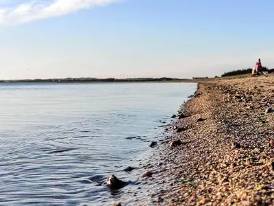a shoreline of a body of water at Family Beach Retreat - By Traum Ferienwohnungen in Løgstør