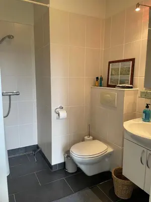 a bathroom with a toilet and a sink at Naturlig Ro in Aalborg