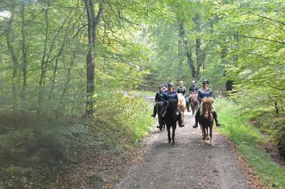 a group of people riding horses down a dirt road at Danhostel Rebild in Skorping
