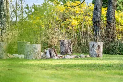 a pile of logs in a field with trees and grass at Lovely Spa House In Scenic Surroundings in Thyholm