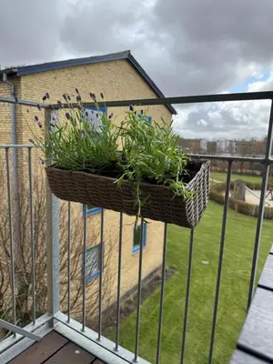 a basket of plants on a balcony at Stor og Lys Lejlighed i Hjertet af Holstebro in Holstebro