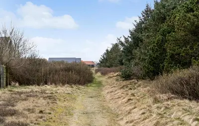 a dirt road through a field with trees at Amazing Home In Vestervig With Wifi in Vestervig