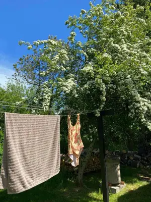 a towel hanging on a clothes line next to a tree at A Gem In The Woods Close To The North Sea in Rødhus
