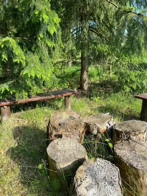 a wooden bench and some rocks and trees at A Gem In The Woods Close To The North Sea in Rødhus