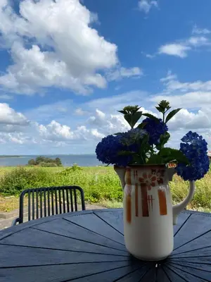 a vase with blue flowers in it sitting on a table at Summer House With Panoramic View Near Doverodde in Doverodde