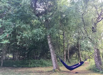 a blue hammock hanging from a tree in a forest at Virksund Home With Grounds And Hot Tub in Højslev