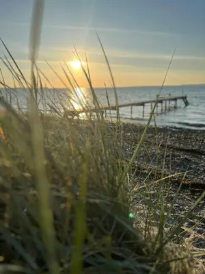 a beach with a pier and some grass at Summer House At Thyholm With Fjord View in Thyholm