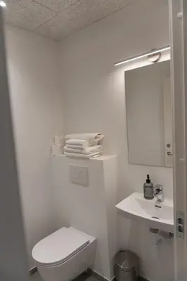 a white bathroom with a toilet and a sink at Birkelse Hotel og Kro in Birkelse
