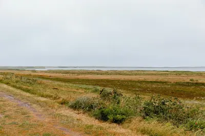 a dirt road in the middle of a field at Family Summer House Close To The North Sea in Vestervig