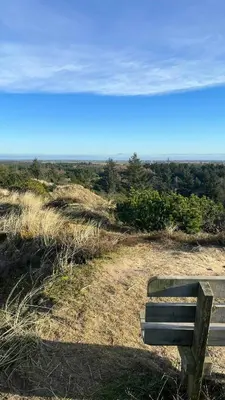 a park bench sitting on top of a hill at Holiday Home In Tranum Forest in Brovst