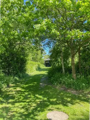 a path with trees and a house in the distance at Personlighed Arkitekttegnet Hus Ved Spøttrup in Spottrup