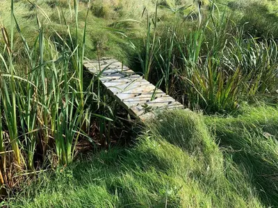 a path through a field of tall grass at Cosy Holiday Home 260 Metres From Tranum Beach in Brovst