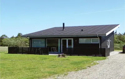 a house with a black roof on a grass field at Three-Bedroom Holiday Home Hurup Thy With A Fireplace 06 in Sindrup