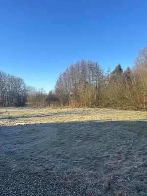 an empty field with trees in the background at Cozy Newly Renovated Apartment in Nørager