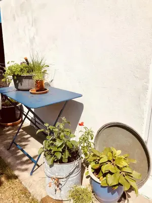 a blue table with potted plants on a patio at In Cold Hawaii With Beach In Backyard in Torsted