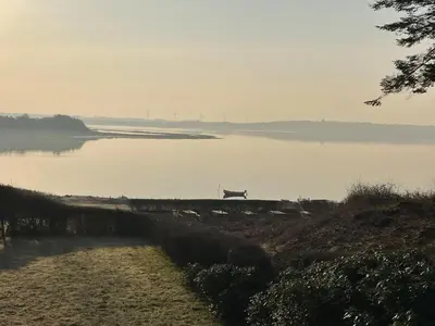 a view of a lake with a boat in the water at Holiday Home Nico - 70m to the inlet by Interhome in Roslev