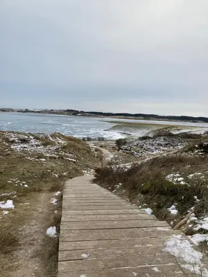 a boardwalk leading to a beach with the water at Unique location in Thy in Thisted