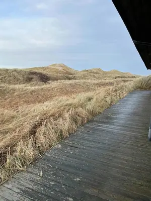 a boardwalk in the middle of a field of grass at Wooden House In The Dunes Close To The Sea in Pandrup