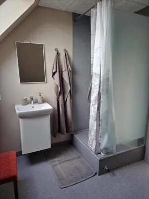 a bathroom with a shower and a sink at Stædets lejlighed in Bøvlingbjerg
