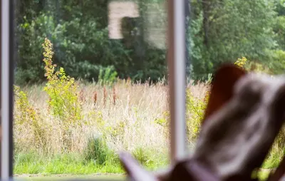 a person looking out a window at a field of grass at Lovely Home In Spøttrup With Sauna in Spottrup