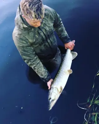 a man in camouflage holding a fish in the water at Holstebro Søpark in Holstebro