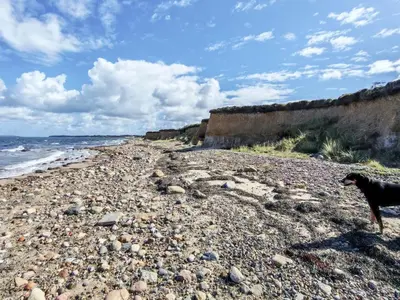a black dog walking on a rocky beach at 6 person holiday home in Spøttrup in Spottrup