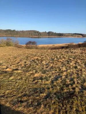 a field of grass with a lake in the background at Struer Festcenter - Vest Bowl lejlighed 2 Bredgade 62 A in Struer