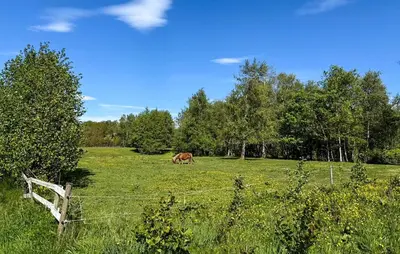 a horse grazing in a field with a fence at 2 Bedroom Nice Home In Roslev in Roslev