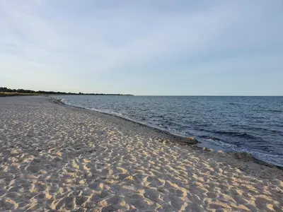 a sandy beach with a body of water at 4 star holiday home in Løgstør in Løgsted
