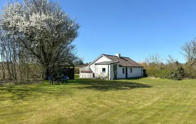 an old white house with a horse in a yard at 1 Bedroom Gorgeous Home In Spøttrup in Spottrup