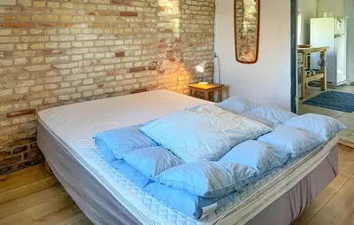 a bed with blue pillows in a room with a brick wall at 1 Bedroom Gorgeous Home In Spøttrup in Spottrup