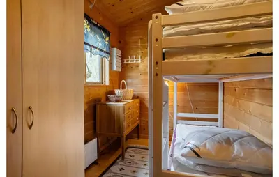 a bedroom with a bunk bed in a wooden cabin at 3 Bedroom Stunning Home In Spøttrup in Spottrup