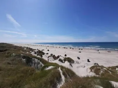 a beach with a bunch of animals on the sand at 5 star holiday home in Løkken in Løkken