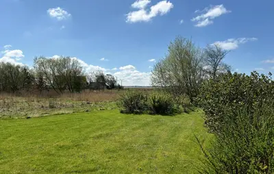 a field with green grass and trees and a blue sky at 3 Bedroom Nice Home In Fjerritslev in Fjerritslev