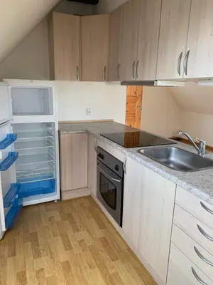 an empty kitchen with a sink and a dishwasher at Bright Nordic Loft Apartment in Spottrup